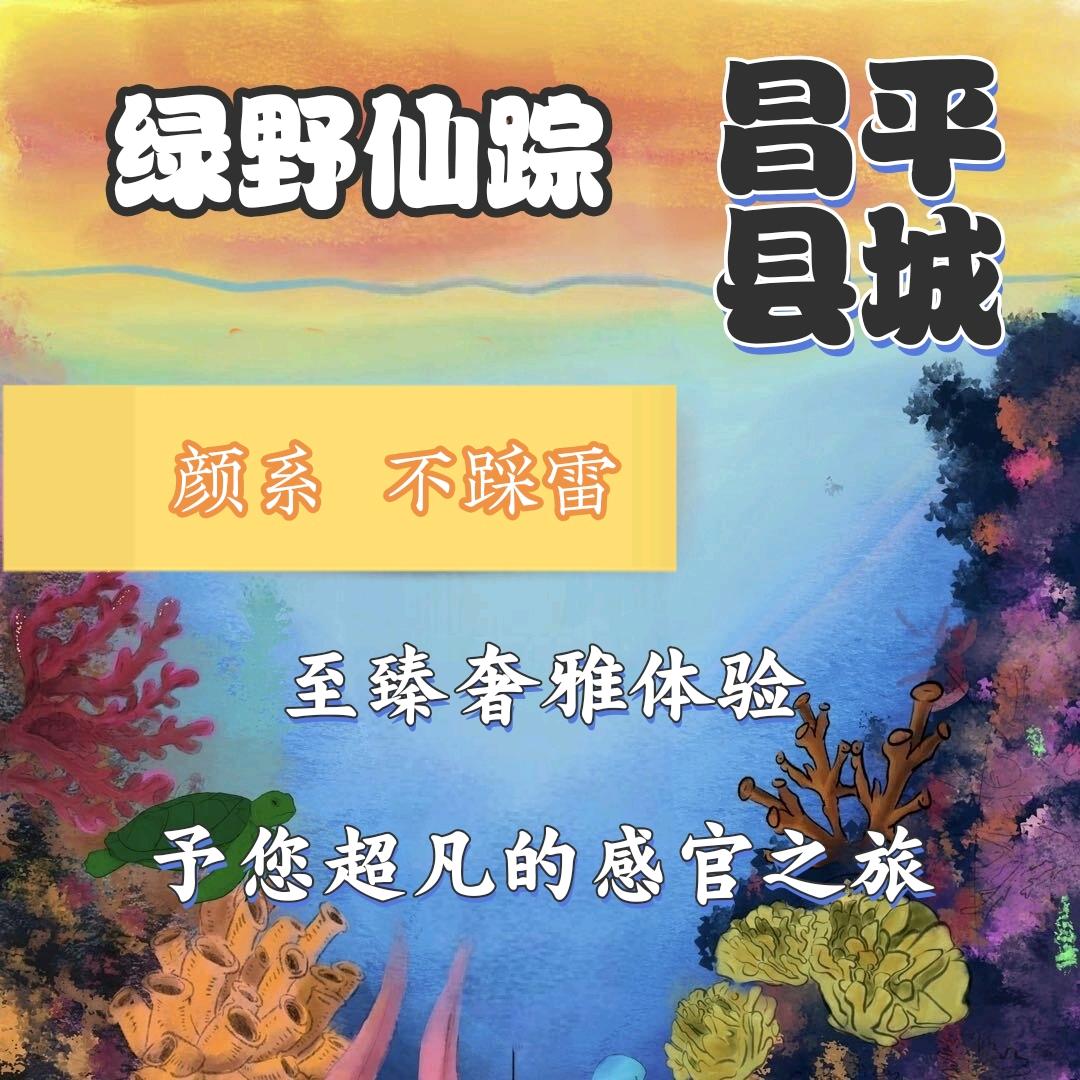 绿野仙踪·治愈系·轻柔SPA官方号