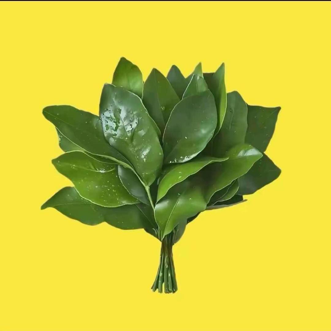 娜颜美肤（辛章）