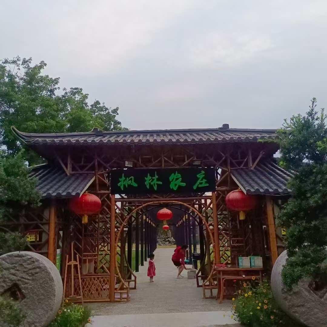 枫林农庄餐饮⛺️户外露营烧烤