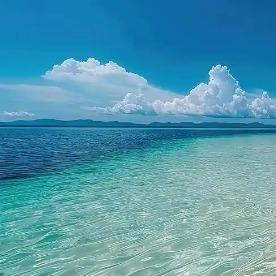 心智线上超市便民站专用号