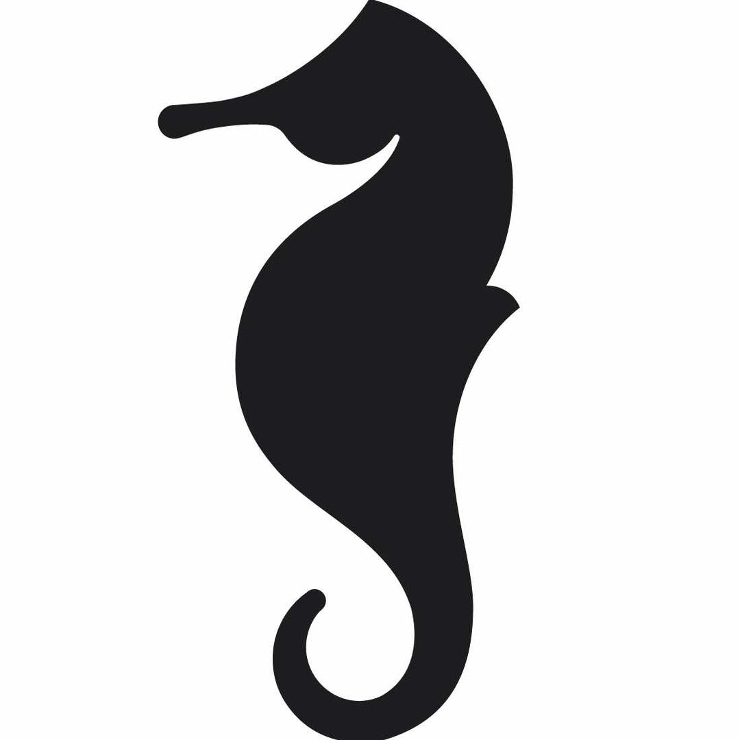 海马体照相馆