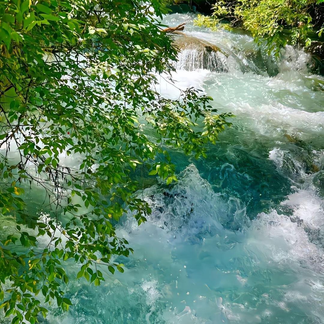 皆唤模个经营号