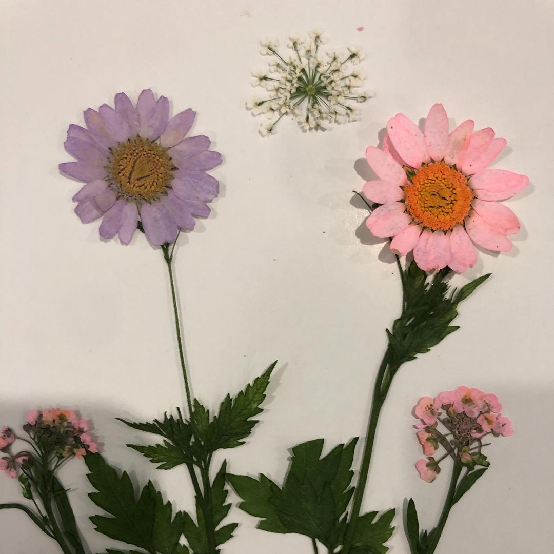 广阔玻璃(菱窠店)712836798的直播号