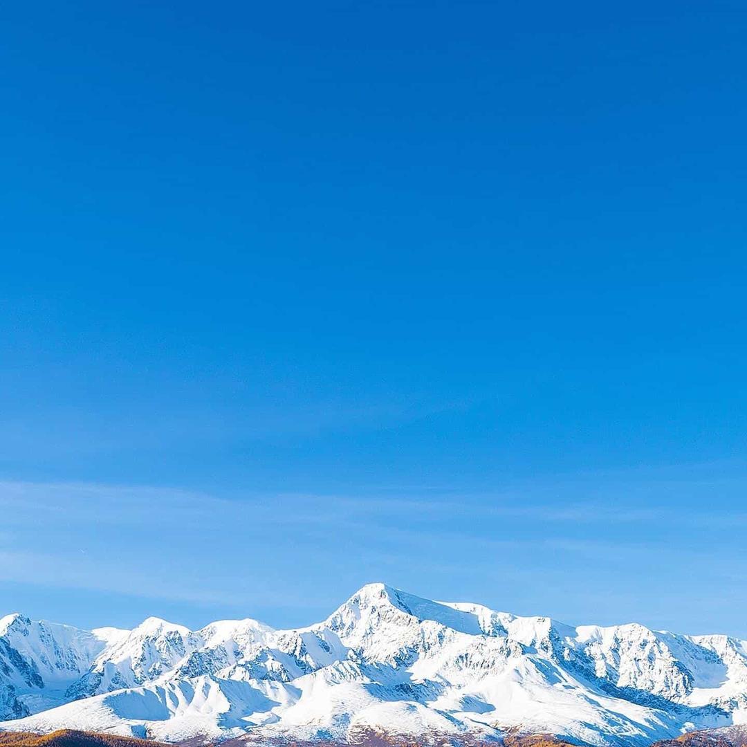 快闪满祝福直播号