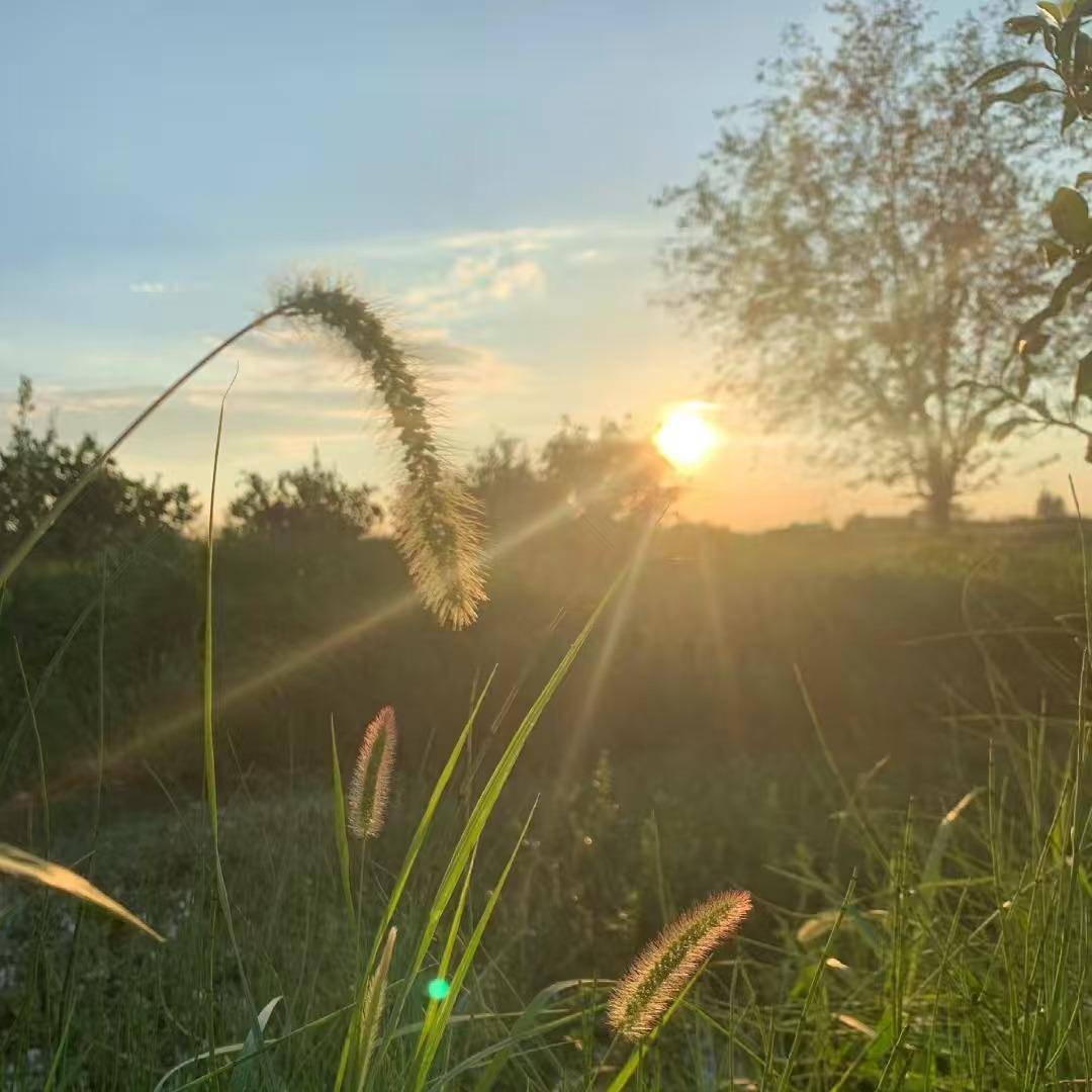 大同市平城区芷华通4直播号