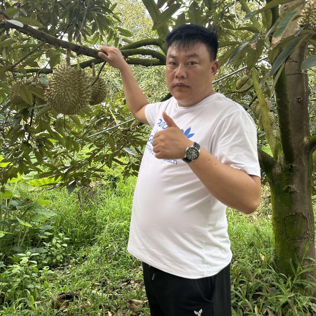 临沂聚果鑫果业（刚哥榴莲批发）