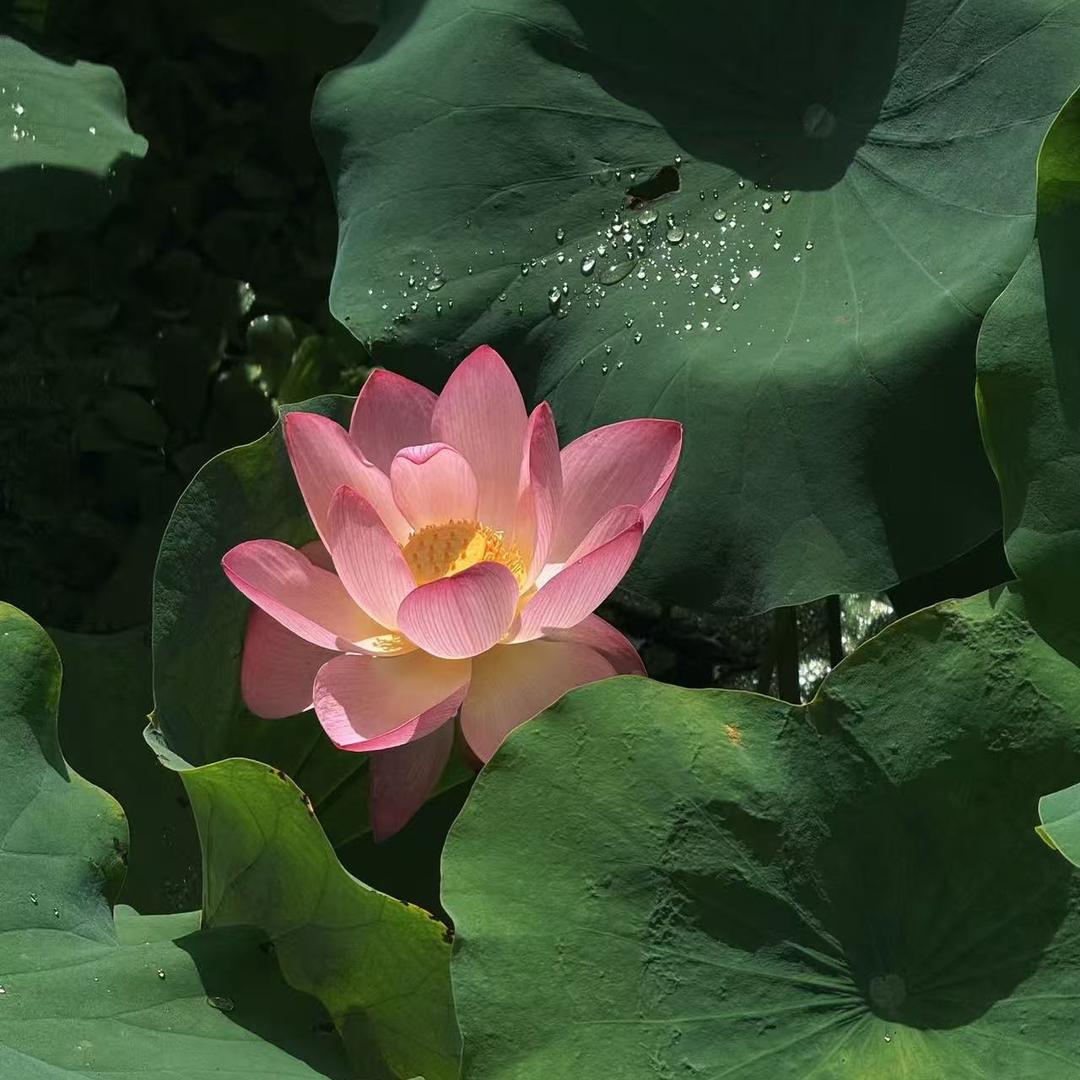 艺剪坊--小王老师