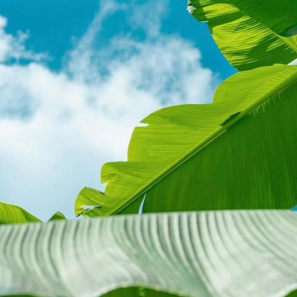 百誉丰皮肤管理滨河店