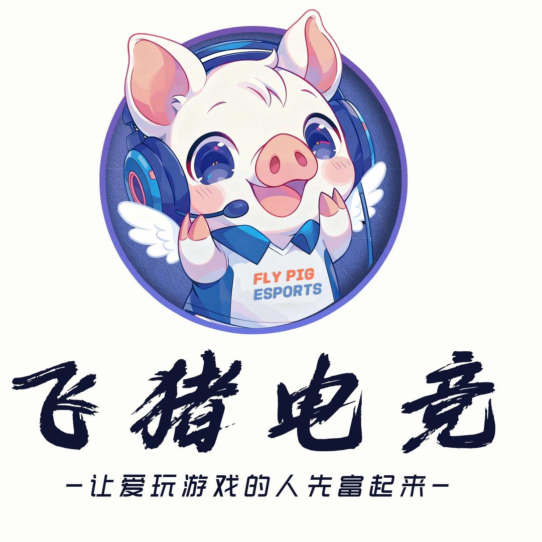 飞猪电竞