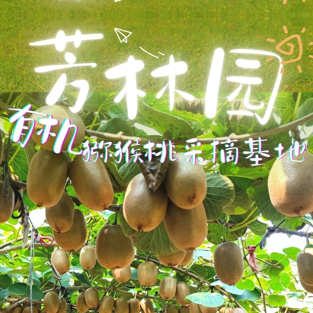 芳林园有机猕猴桃采摘基地官方号