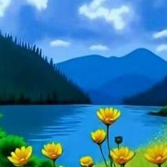 想象星的直播号