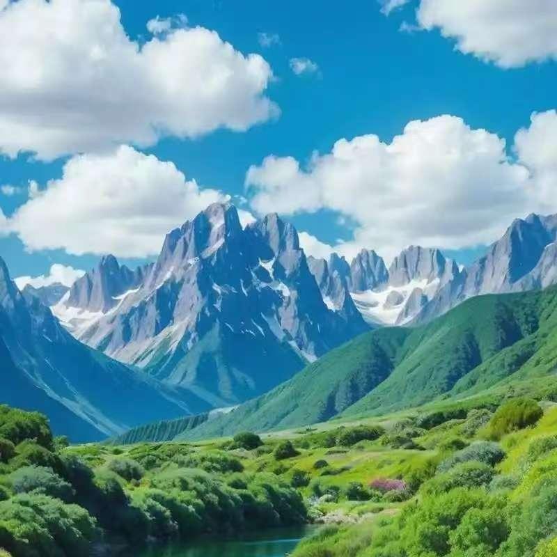 梦动以后并直播号