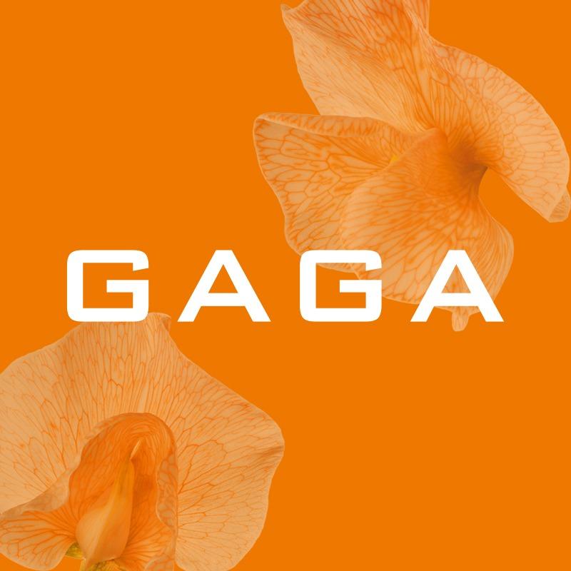 GAGA服饰本地生活官方号