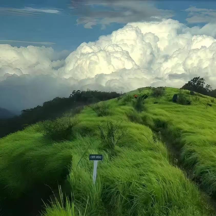 境坊间89宠粉号