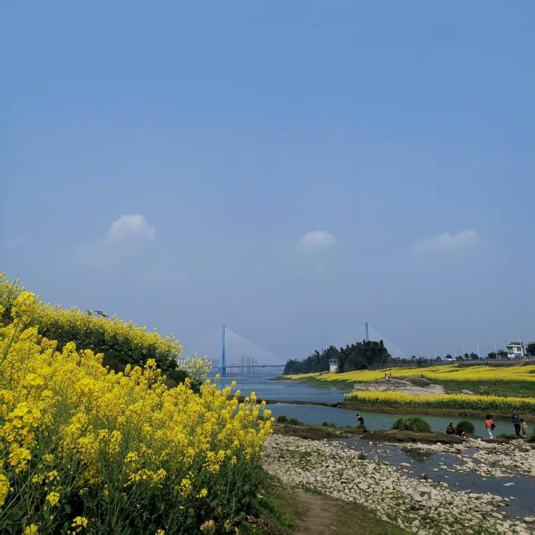 艾茗小伟直播4号