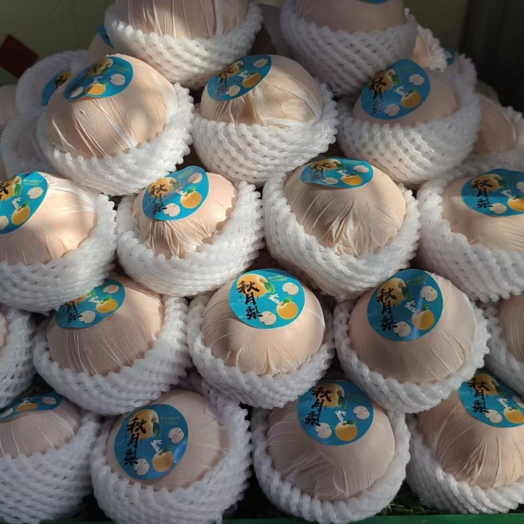 赛上果蔬-灵武西湖名都总店专用号