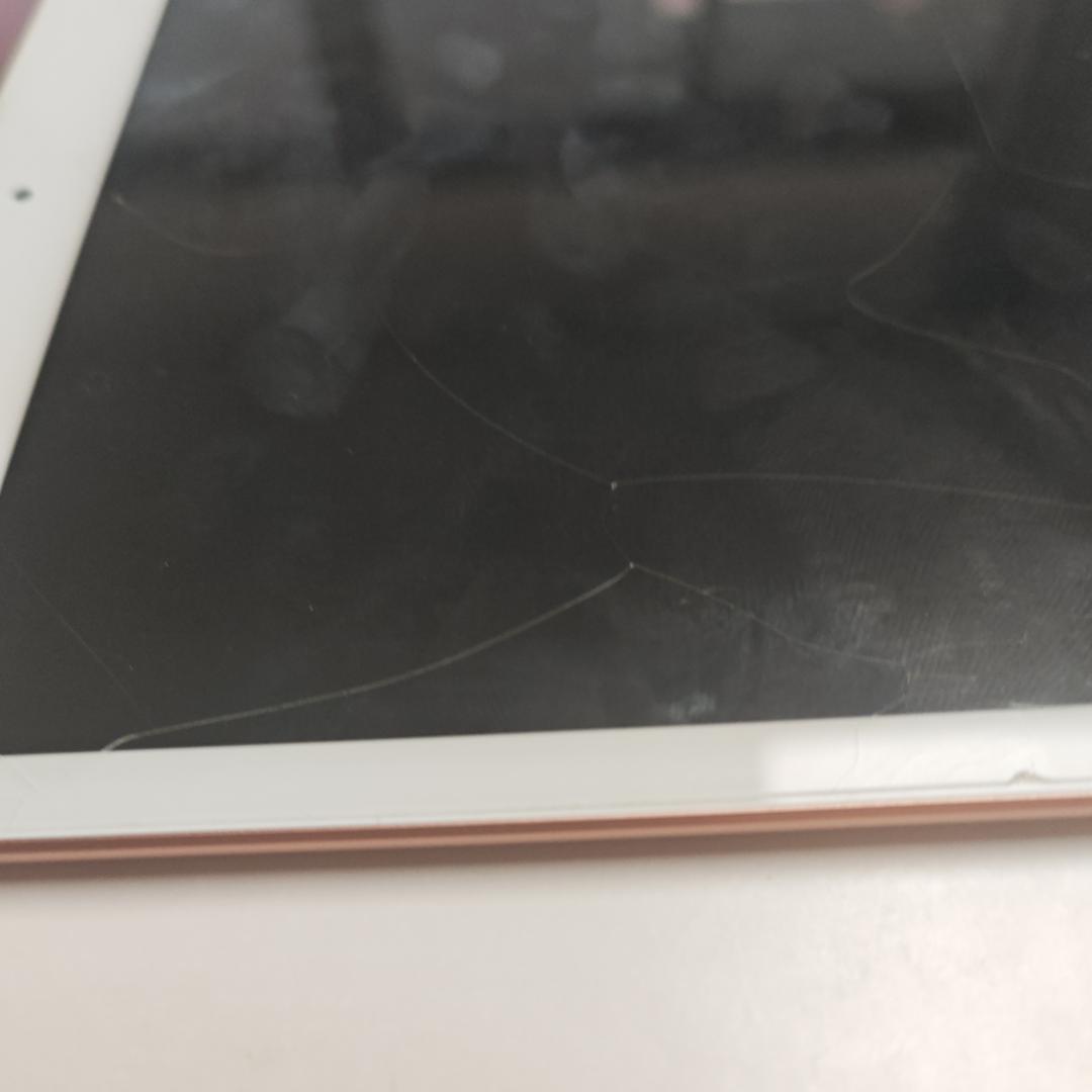 真萍科技xeri直播号