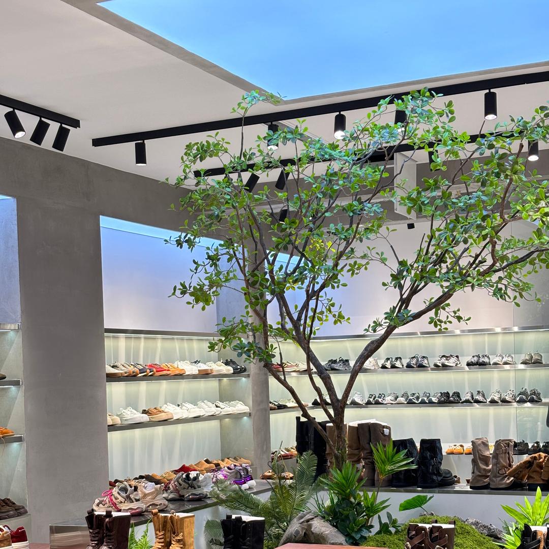 斐小姐的故事-雪雪