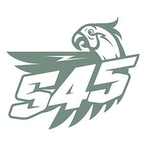 S45本地总账号