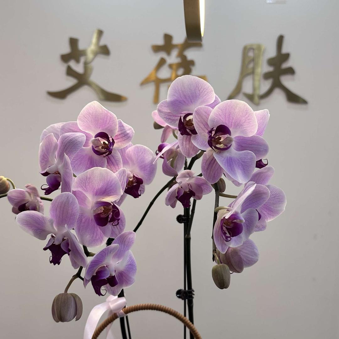 艾蓓肤皮肤管理美甲美睫官方号