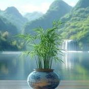 闲笔几行（诚齐）