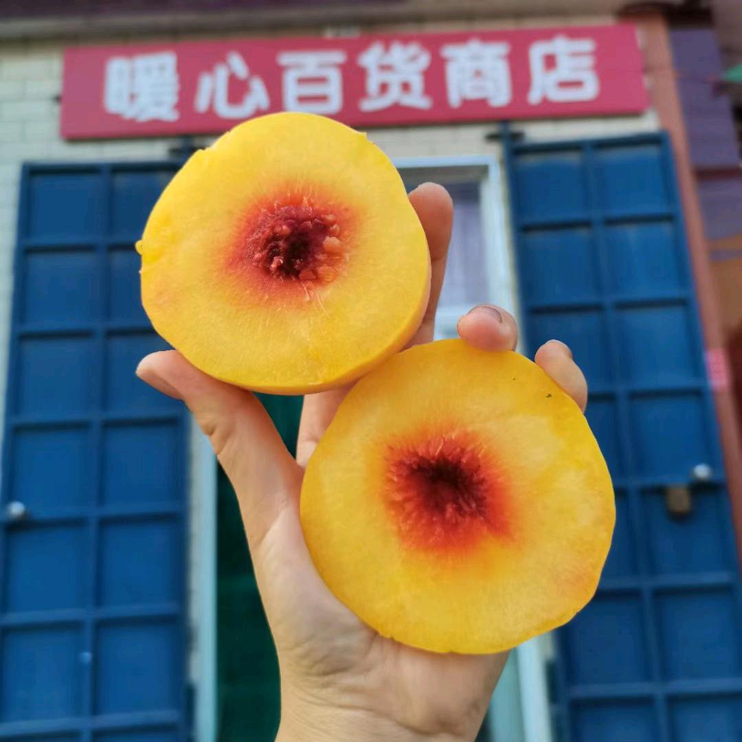 彩虹姐姐的暖心小店