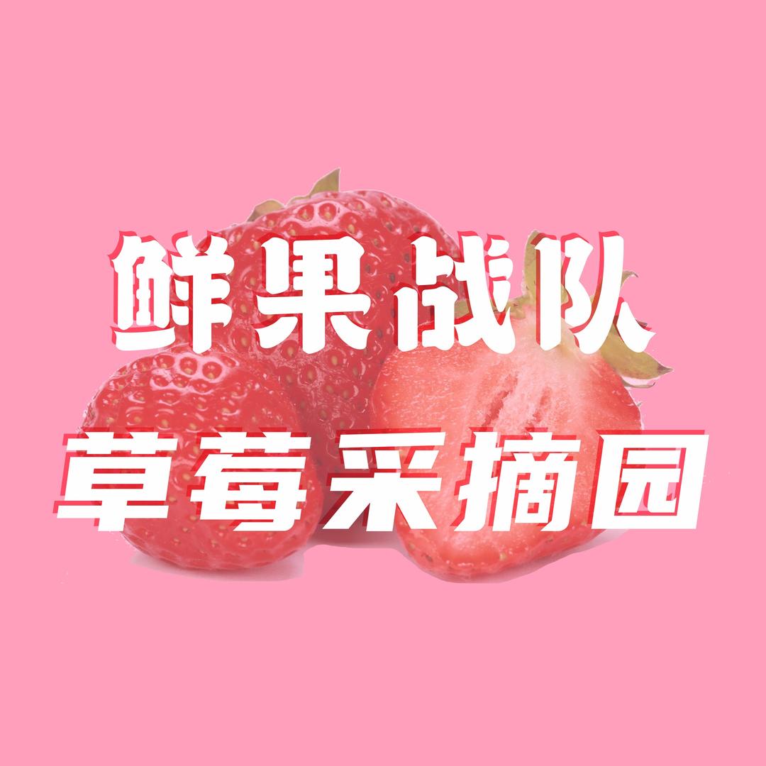 鲜果战队·大新港城草莓园