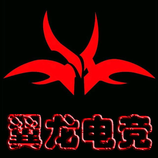 翼龙电竞馆（南二环店）