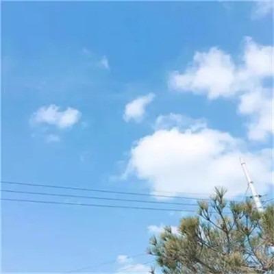 玲玲•洗脸吧