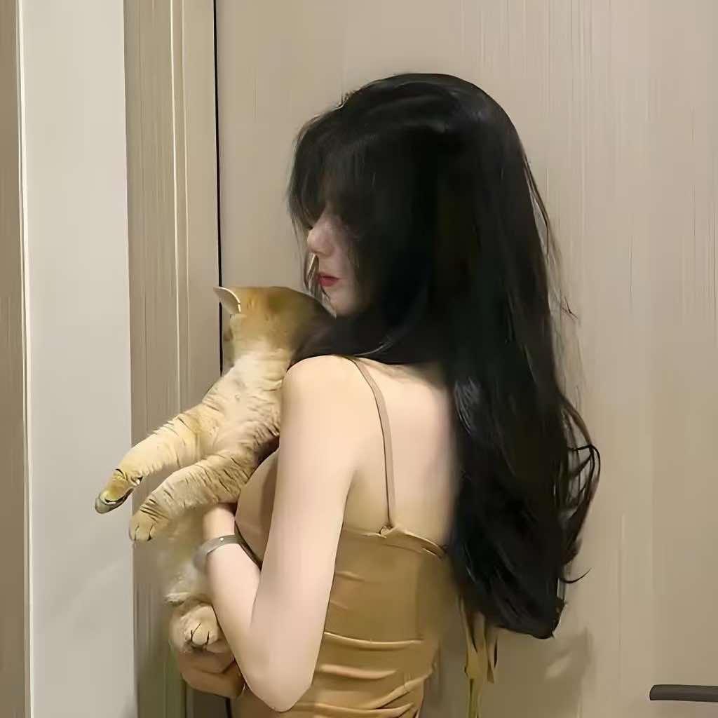 典约2 青喜⺈氾号