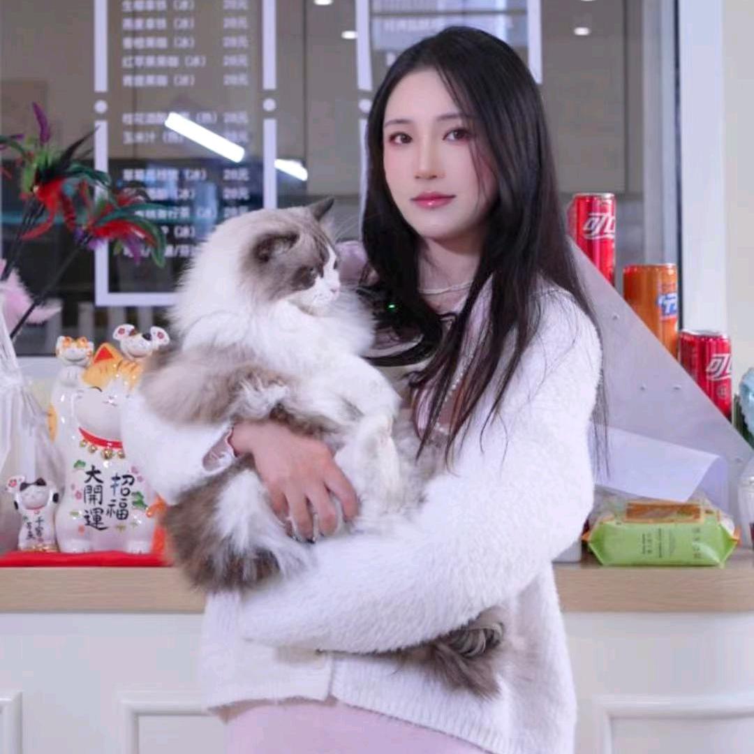 半岛喵·猫咖