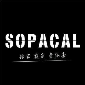 索派嘉全屋定制工厂