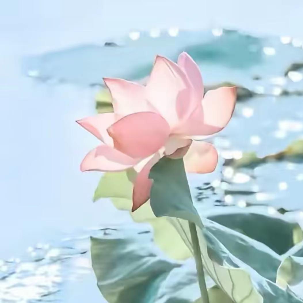 智慧岁月直播号