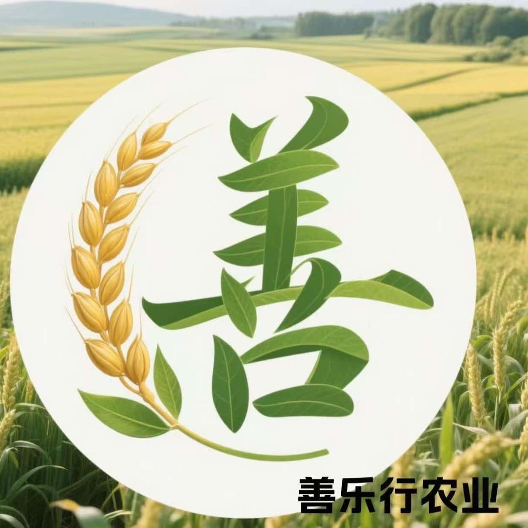 DDS·善乐行超市(城南民族店)专用号