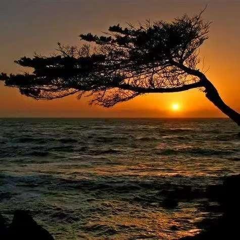 道子十七直播号