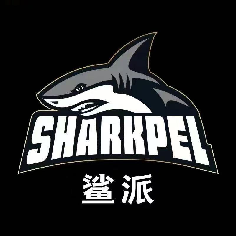 公主岭市百车汇汽车保姆红姐