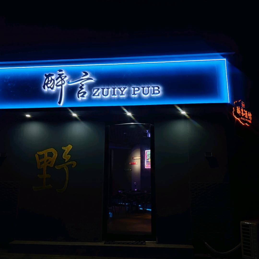 Cy楚琰–醉言酒馆