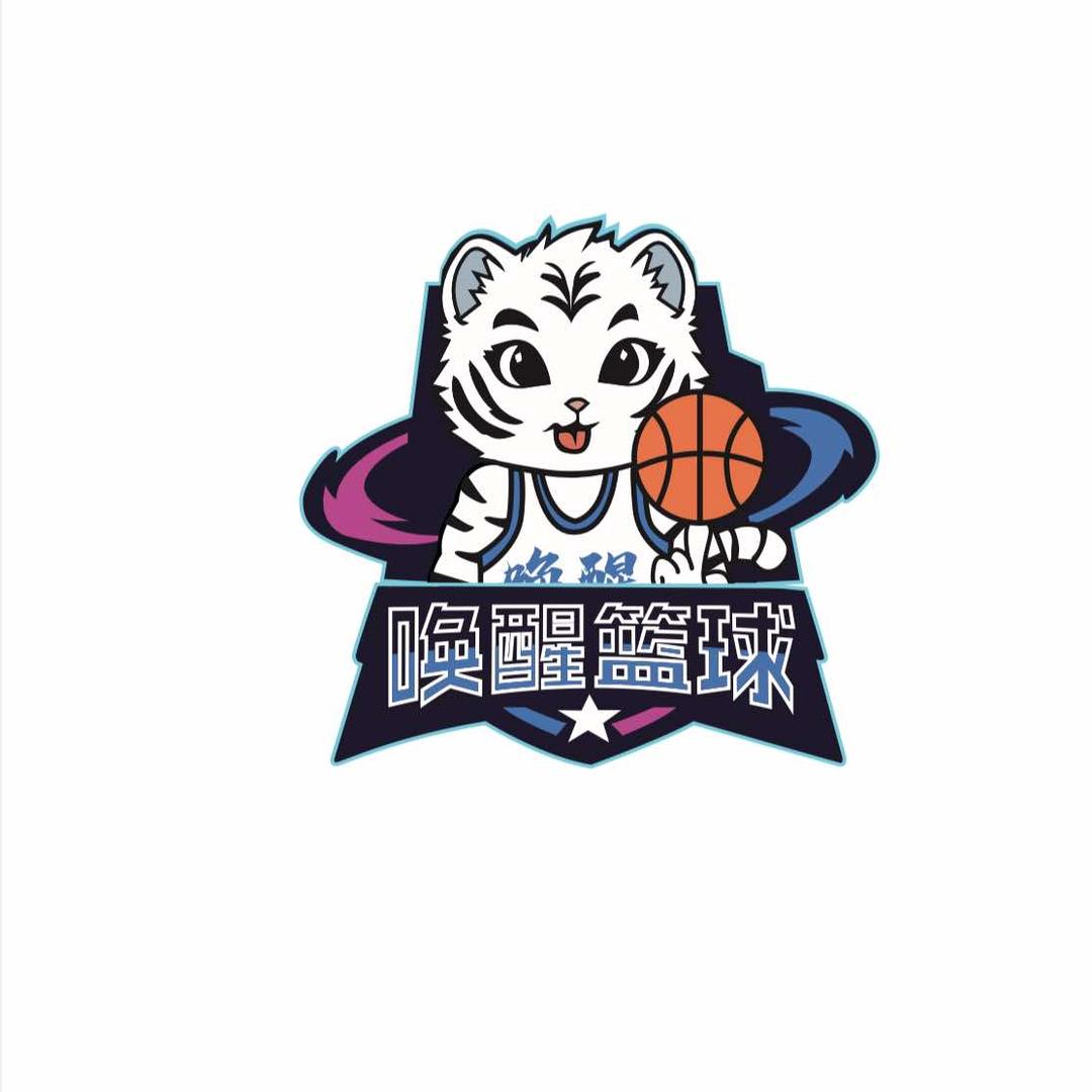 唤醒篮球训练营