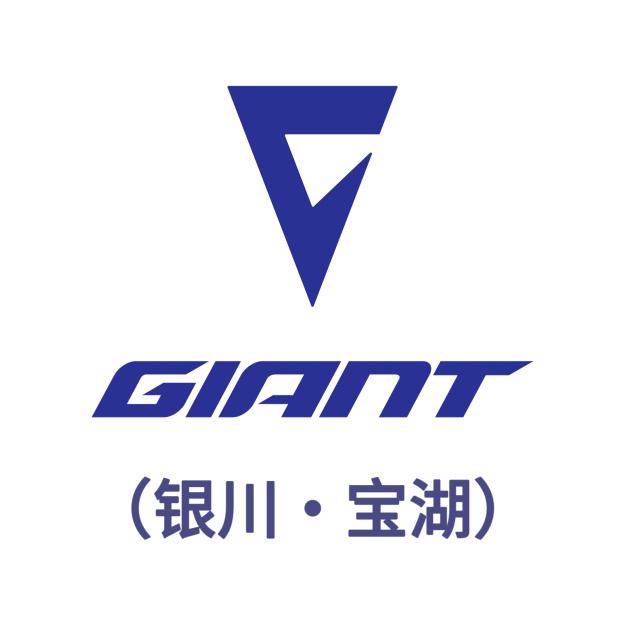 银川捷安特宝湖店