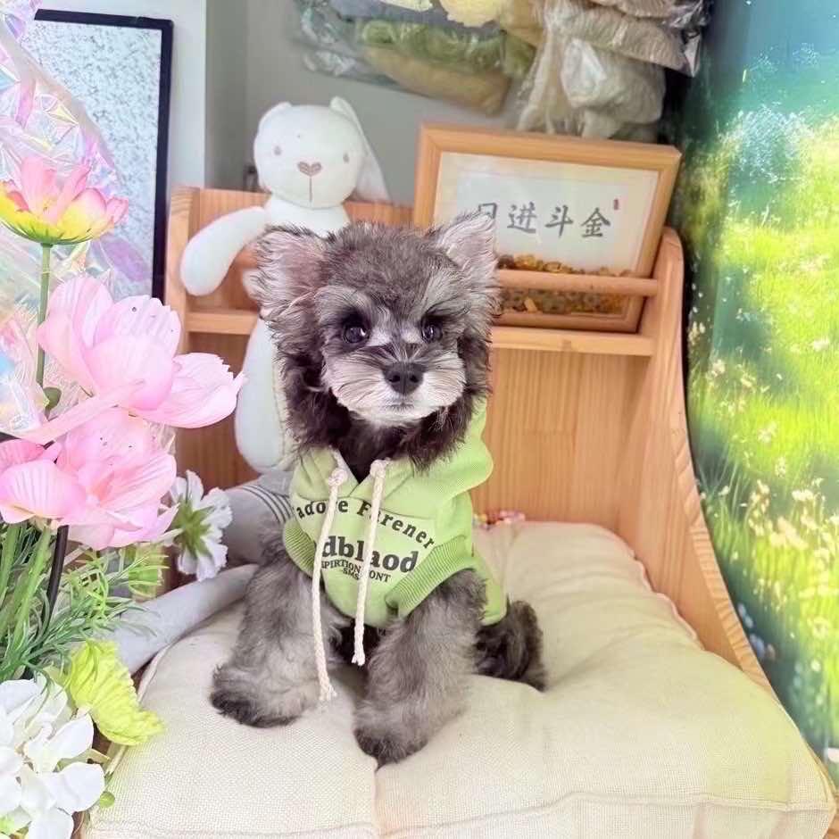 ᑋᵉᑊᑊᵒ 宠它宠物批发🐈‍⬛狗粮