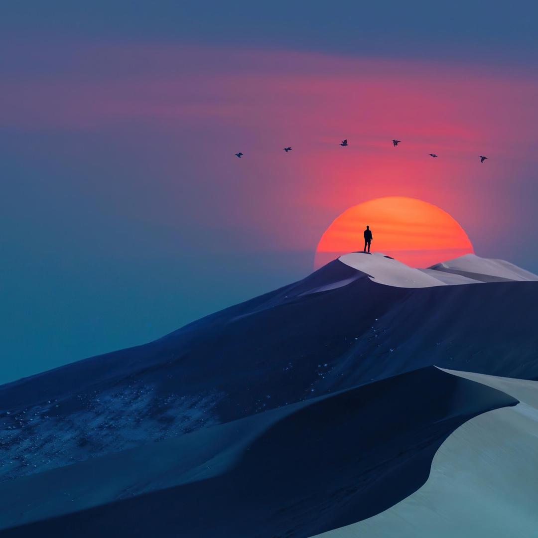 永生花（惠磊）