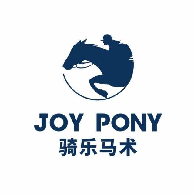 骑乐马术