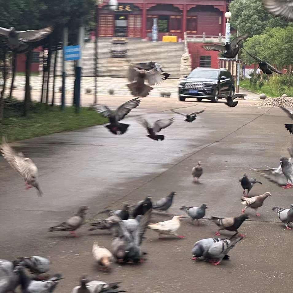 南地炭烤