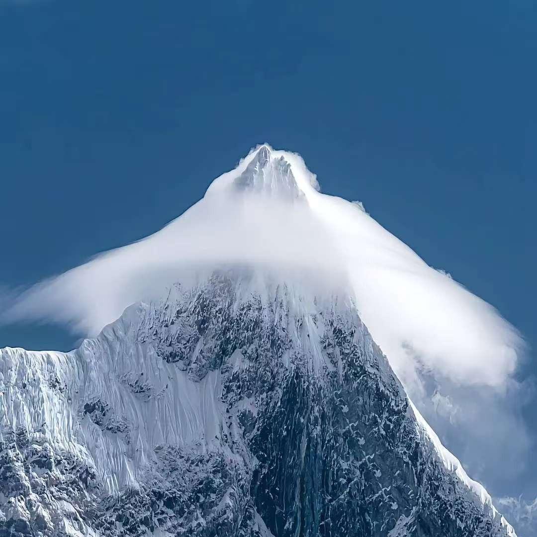 顽主科技直播165656号