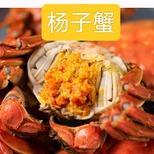 杨子螃蟹龙虾批发上市企业