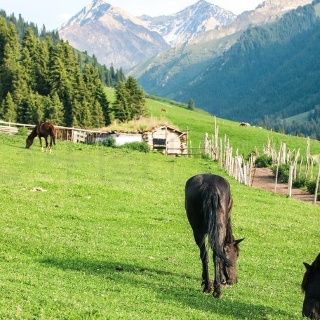 联想(佳灵路店) 店员小于