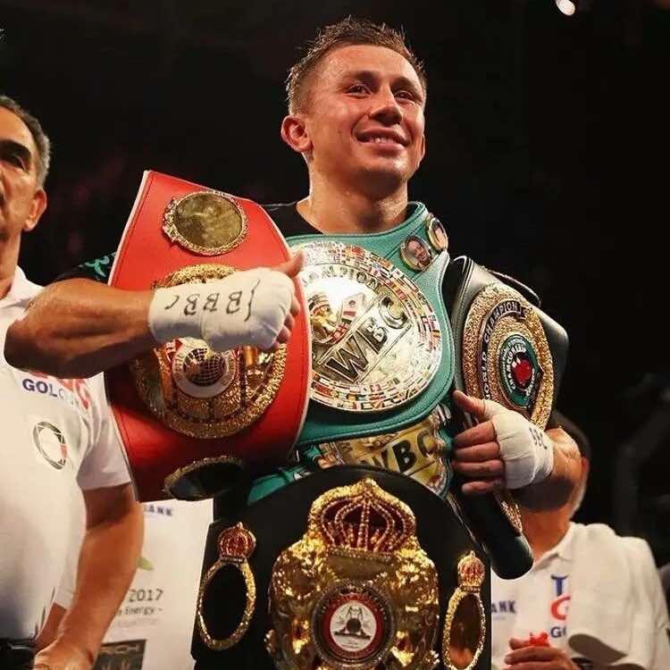 鹤岗市格斗熊拳击