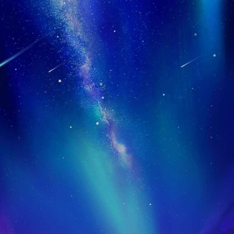 花白色小壮直播号