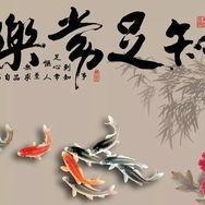 珍姐批发官方号