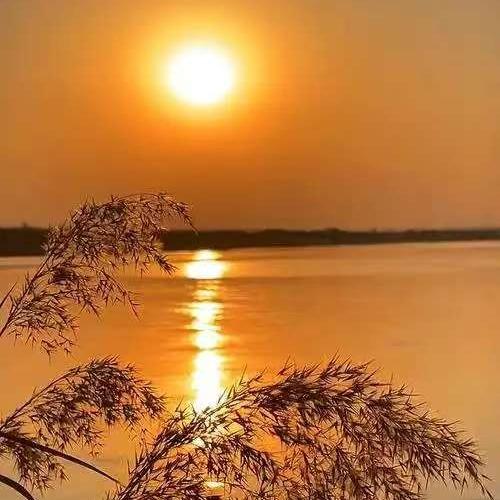 兴博吉公司直播柒号